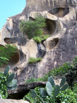 Tombs carved into the side of a cliff face.